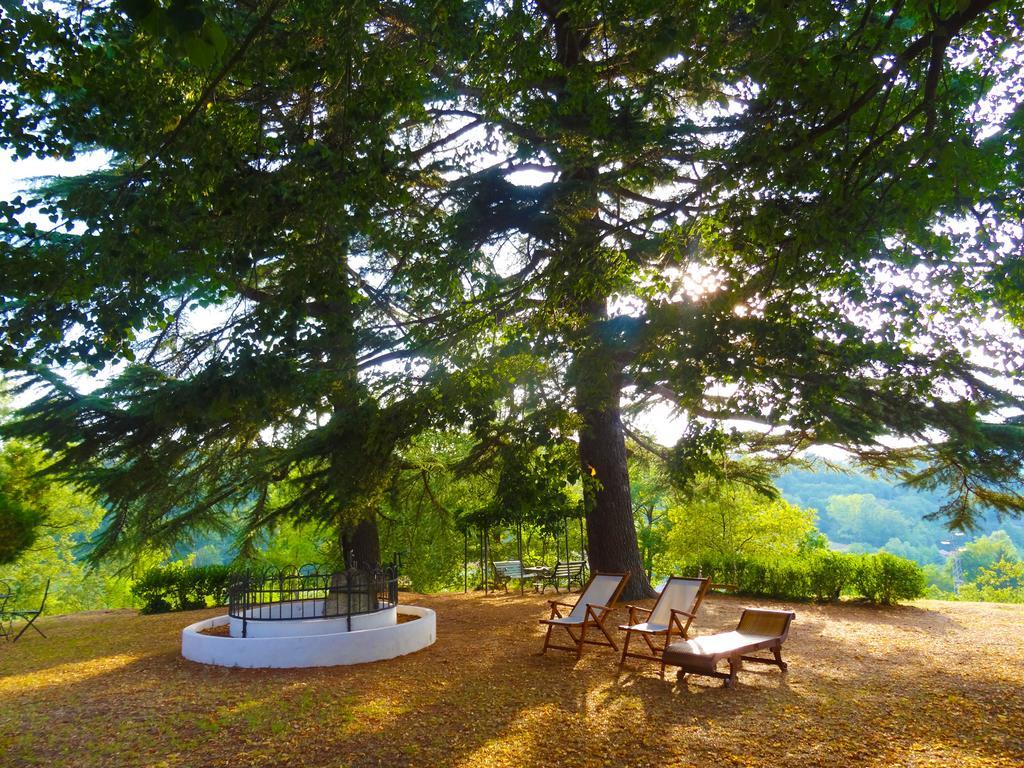 Bed and Breakfast La Celestina Piana Crixia Exteriér fotografie