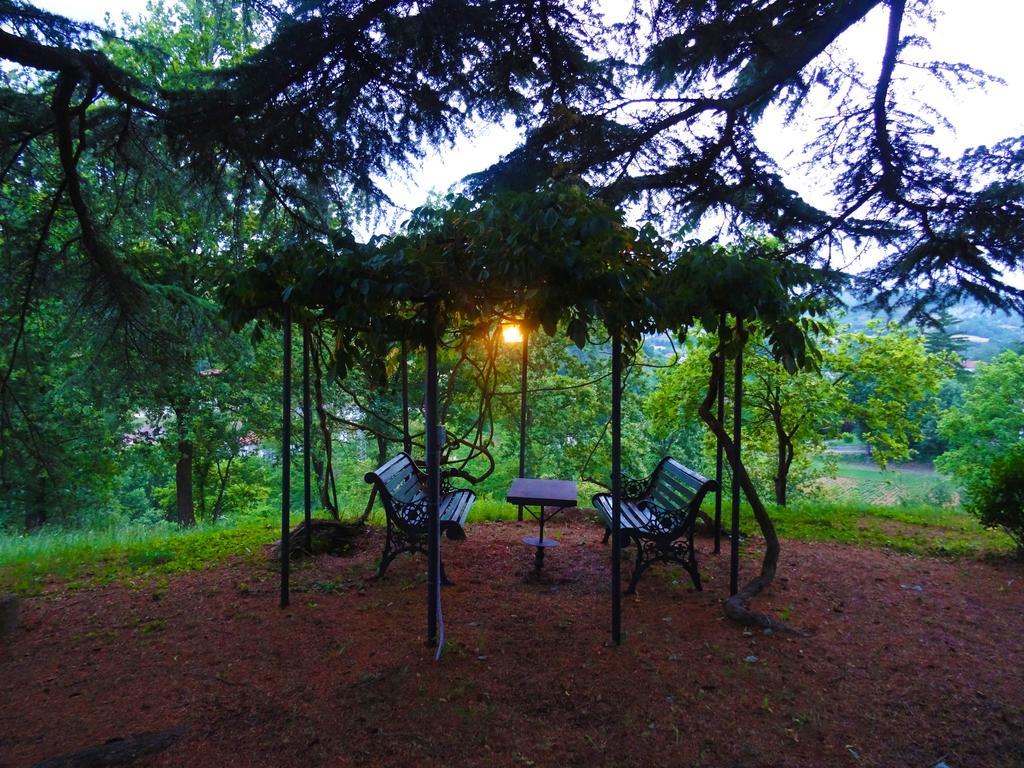 Bed and Breakfast La Celestina Piana Crixia Exteriér fotografie